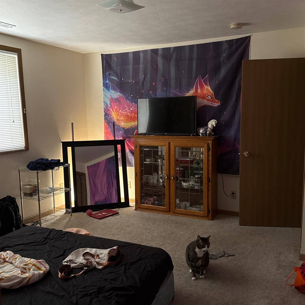 Renting out.