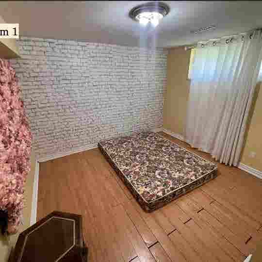 NEWLY FULLY RENOVATED BASEMENT