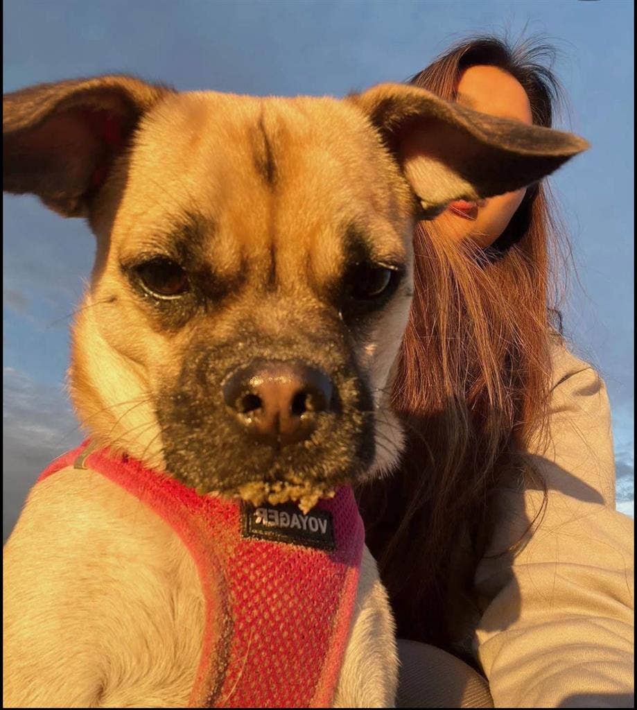 Private room in the heart of LA