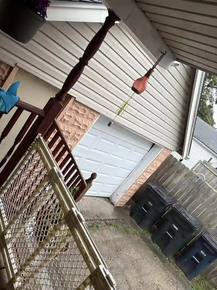 In need of a good reliable roommate