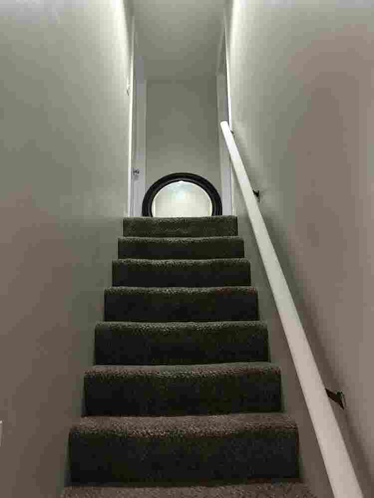 In need of a good reliable roommate