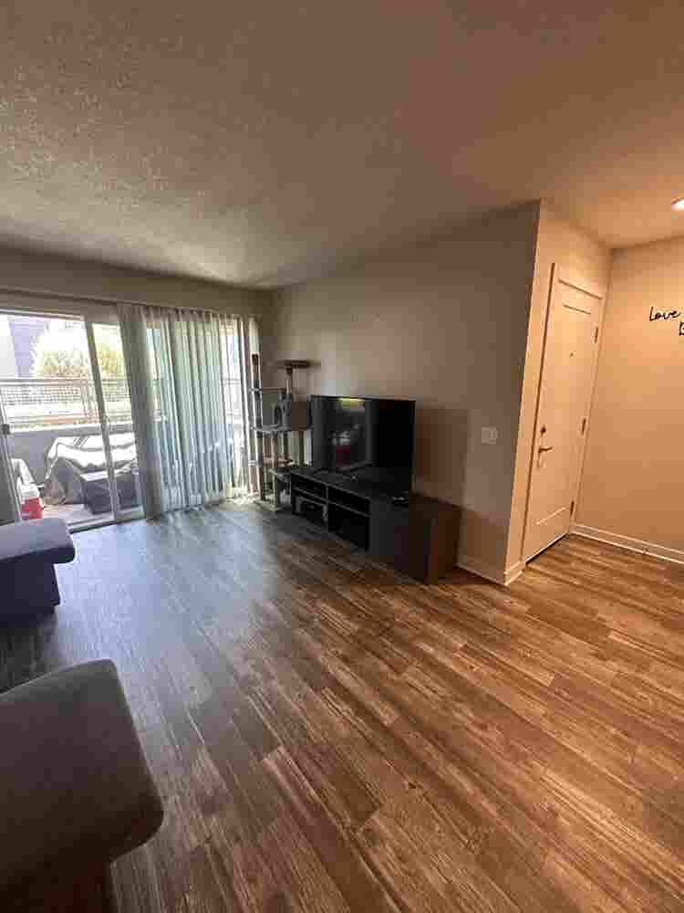 Room for rent in Point Loma apt