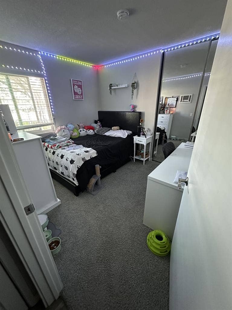 Room for rent in Point Loma apt