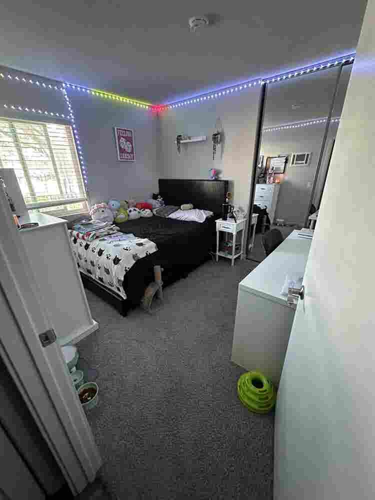 Room for rent in Point Loma apt