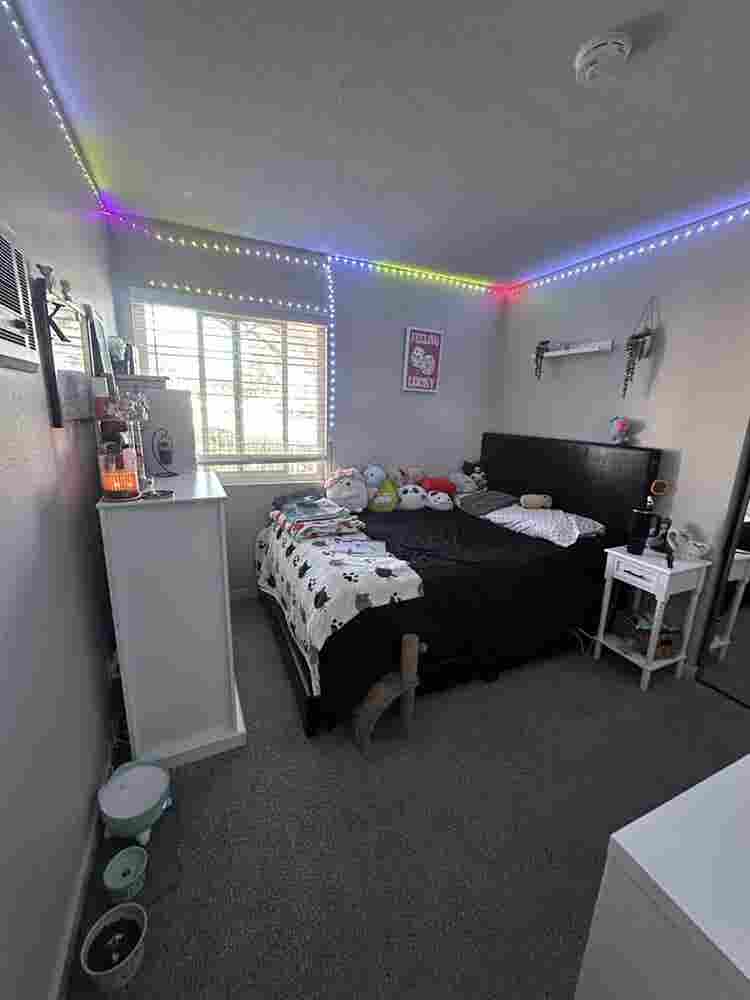 Room for rent in Point Loma apt