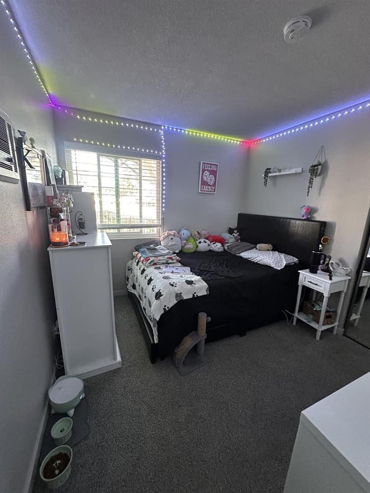 Room for rent in Point Loma apt