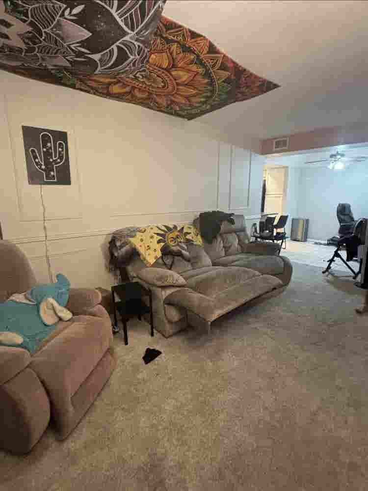Looking for a roommate