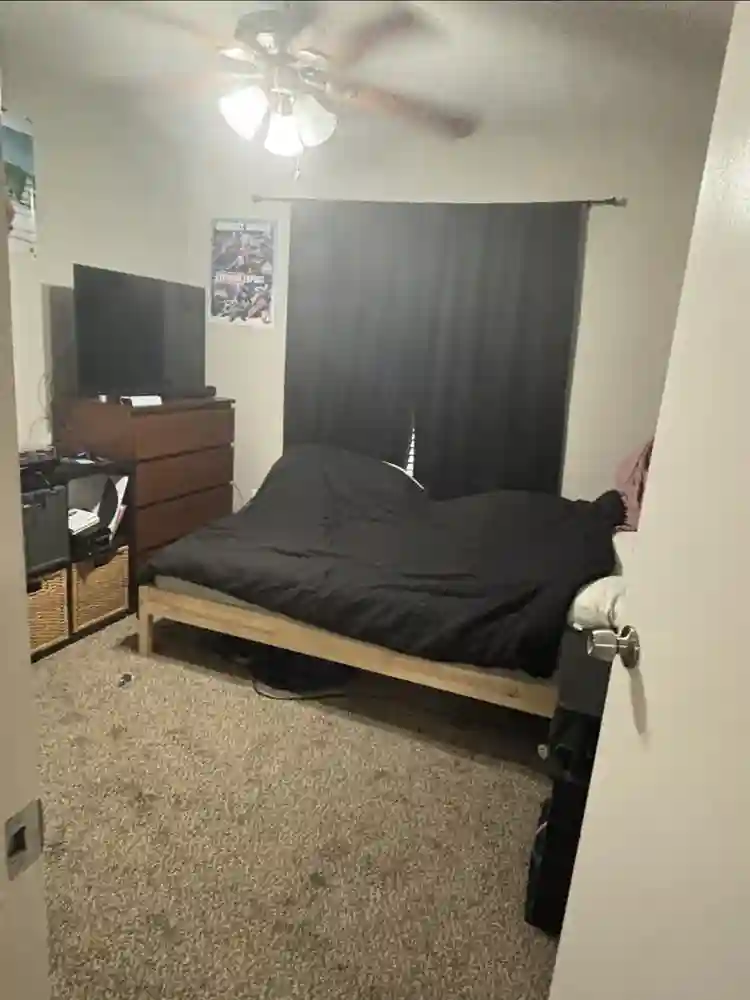 Looking for a roommate