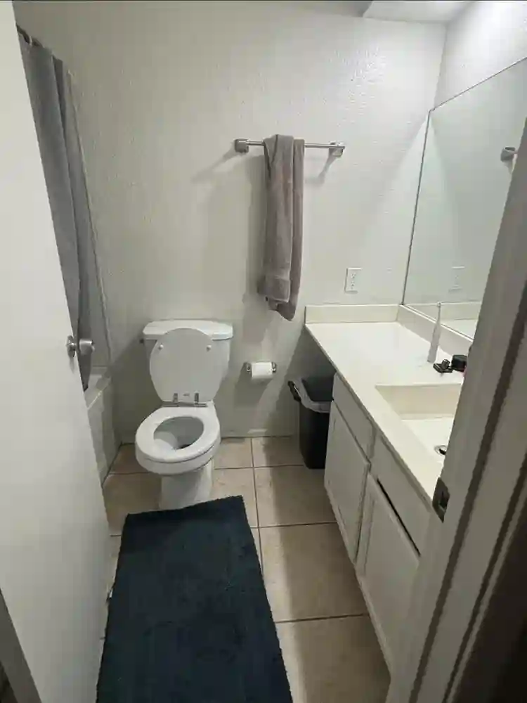 Looking for a roommate