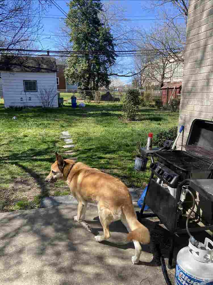 Looking for a responsible roommate