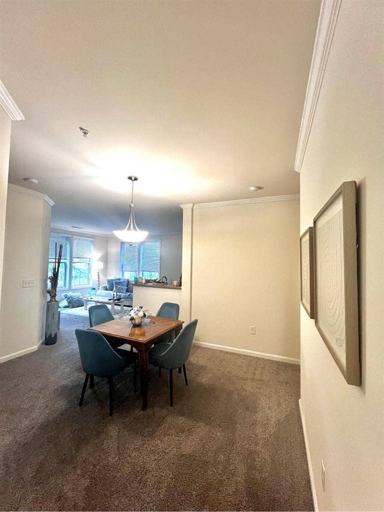 Looking for Female Roomate Manassas