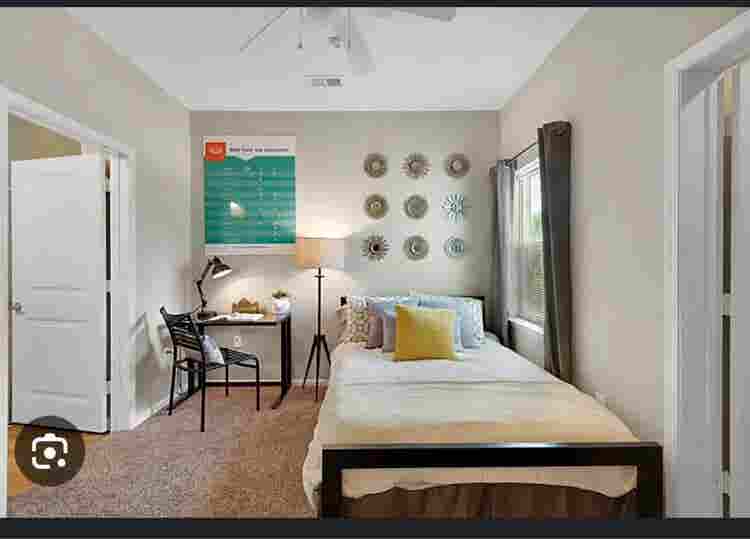 1 bedroom in 4 bedroom apartment.