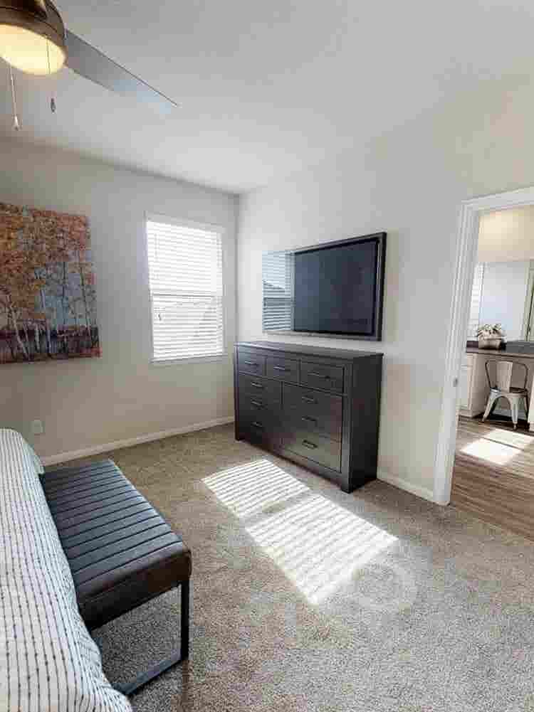 looking for Sublease