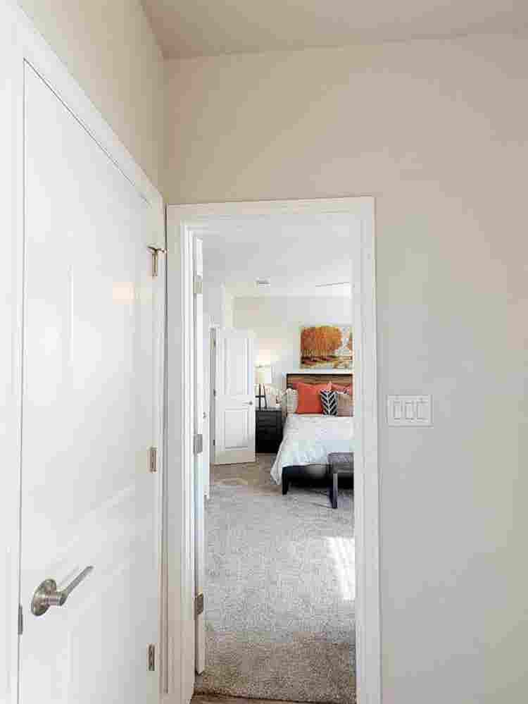 looking for Sublease
