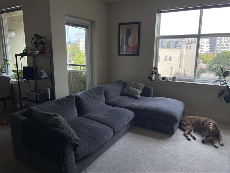 Downtown Ballard Roommate Search