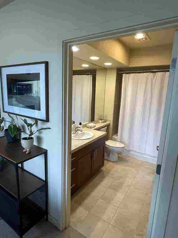 Downtown Ballard Roommate Search