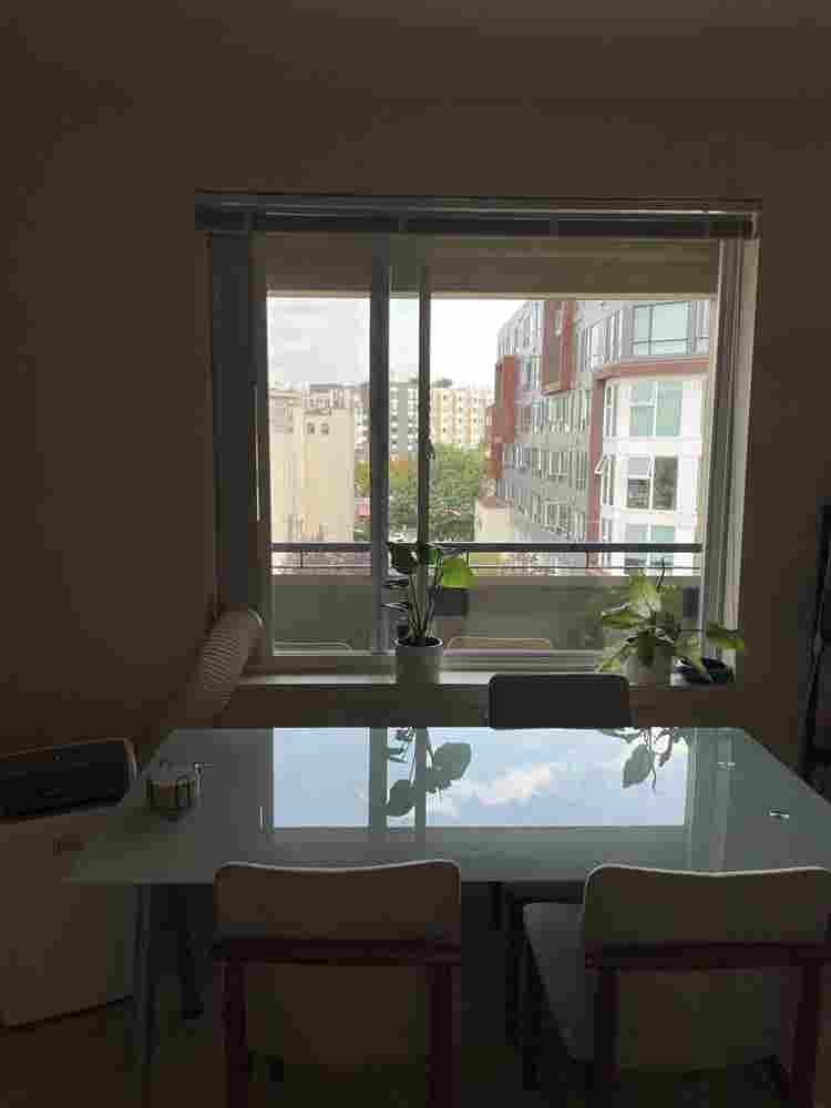 Downtown Ballard Roommate Search