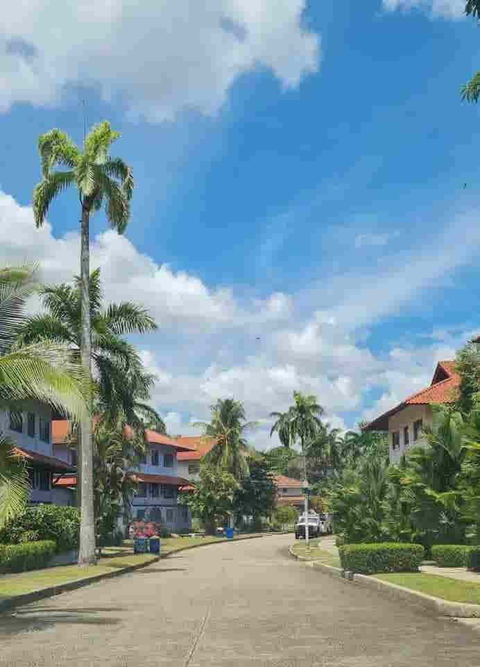 Spacious Room Albrook green city