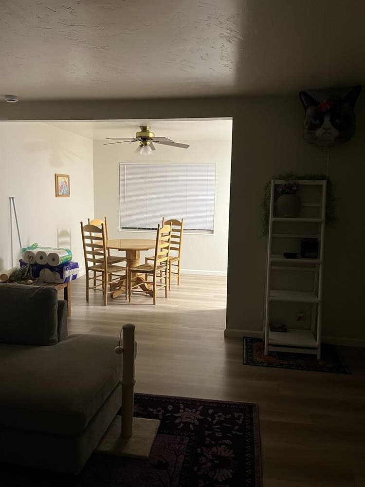 Looking for two roommates