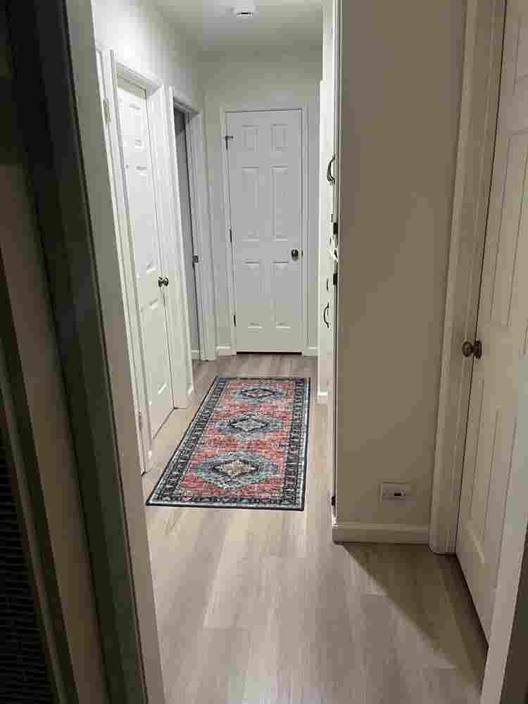 Looking for two roommates
