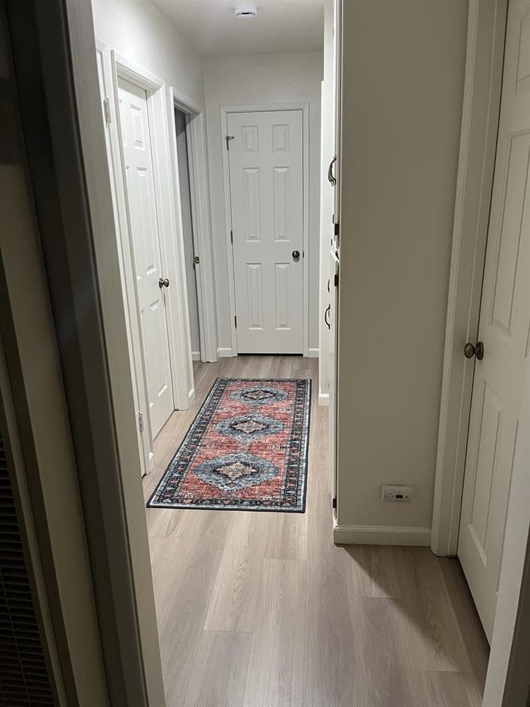 Looking for two roommates