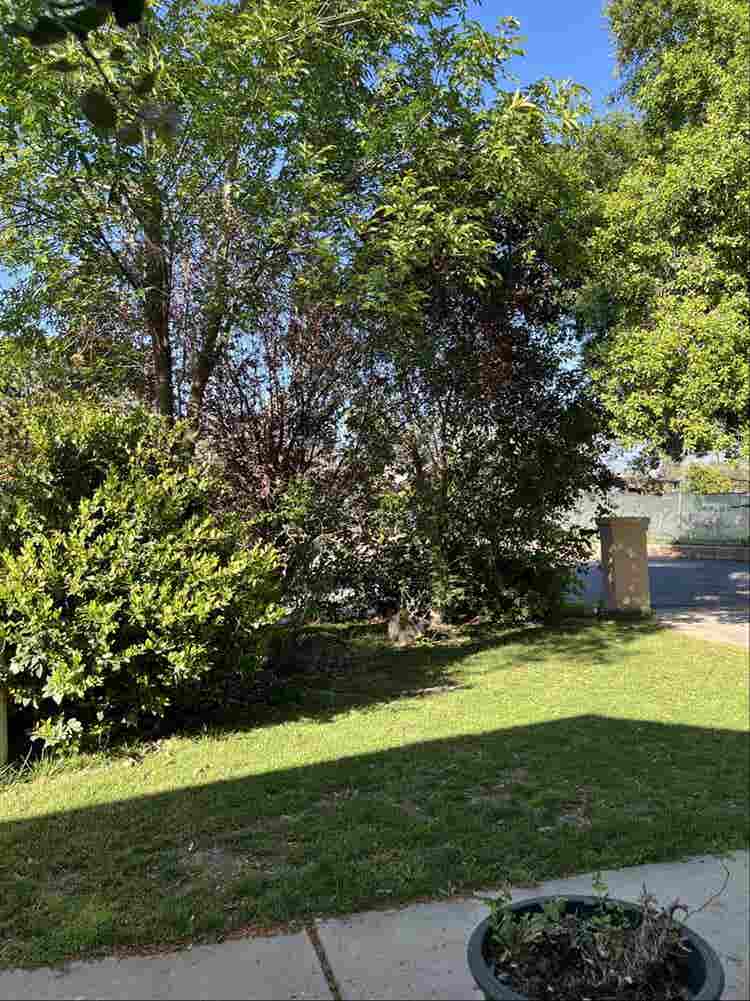 Room For Rent $/Month