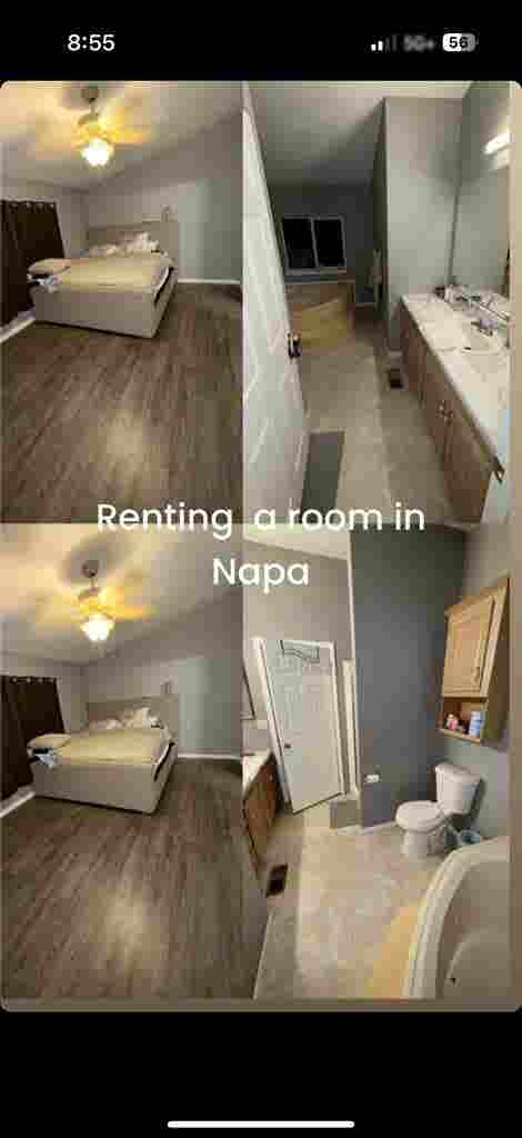 looking for a roomate
