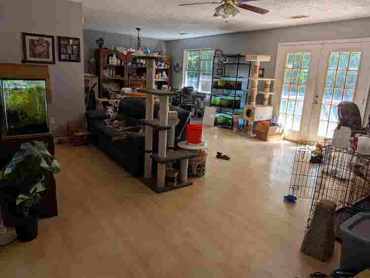 Medium sized furnished room.