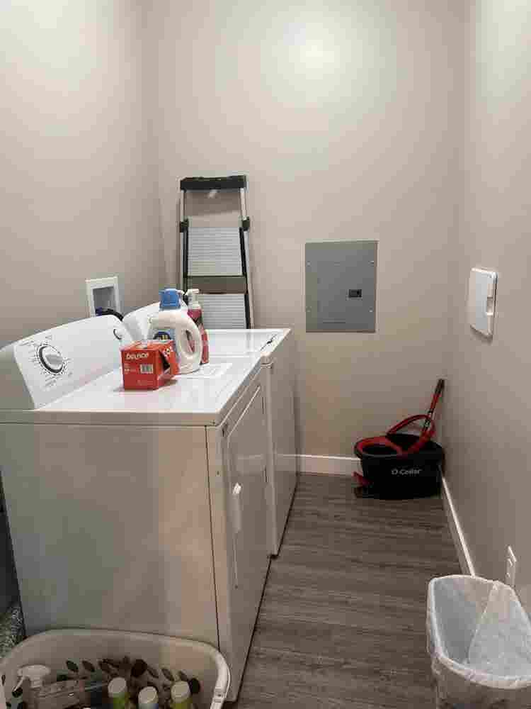 Clean quiet space with friendly pup