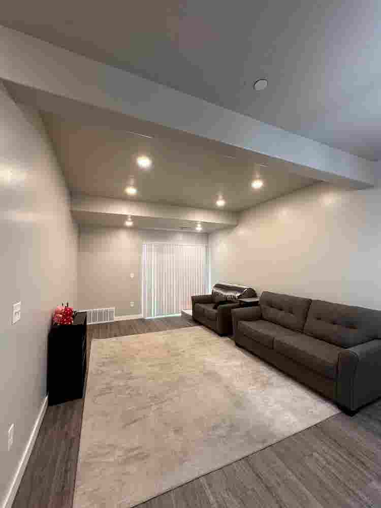 Clean quiet space with friendly pup