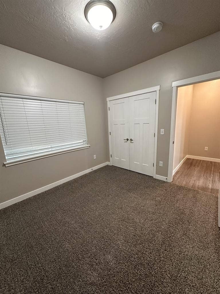 Clean quiet space with friendly pup