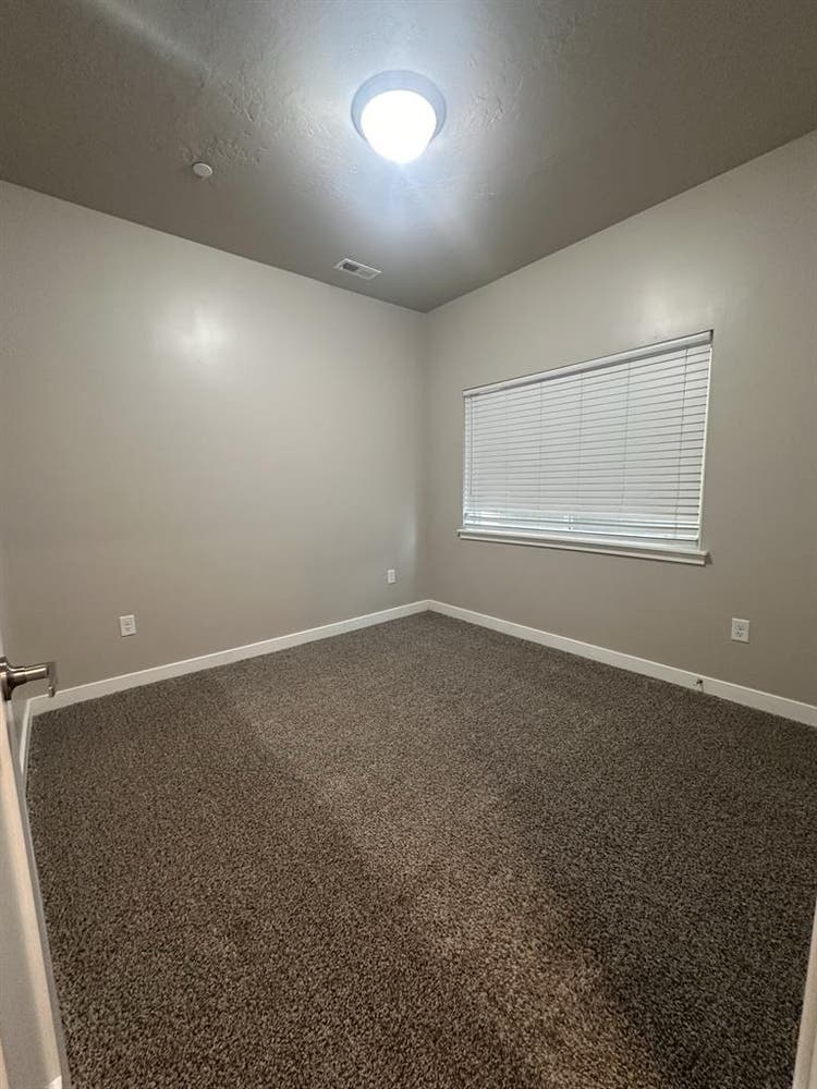 Clean quiet space with friendly pup