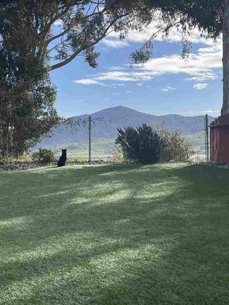 Room for Rent – Spring Valley