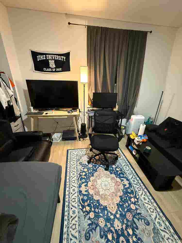 Midtown South Luxury Apartment