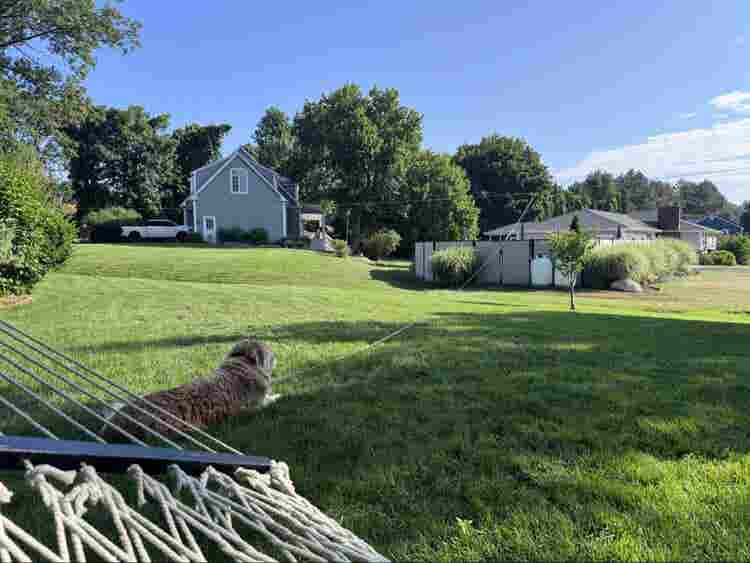 House to Share in Southboro