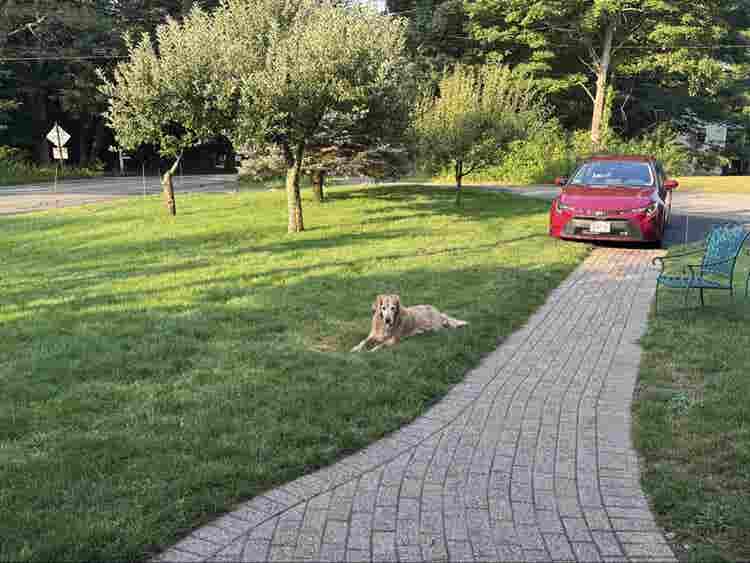 House to Share in Southboro