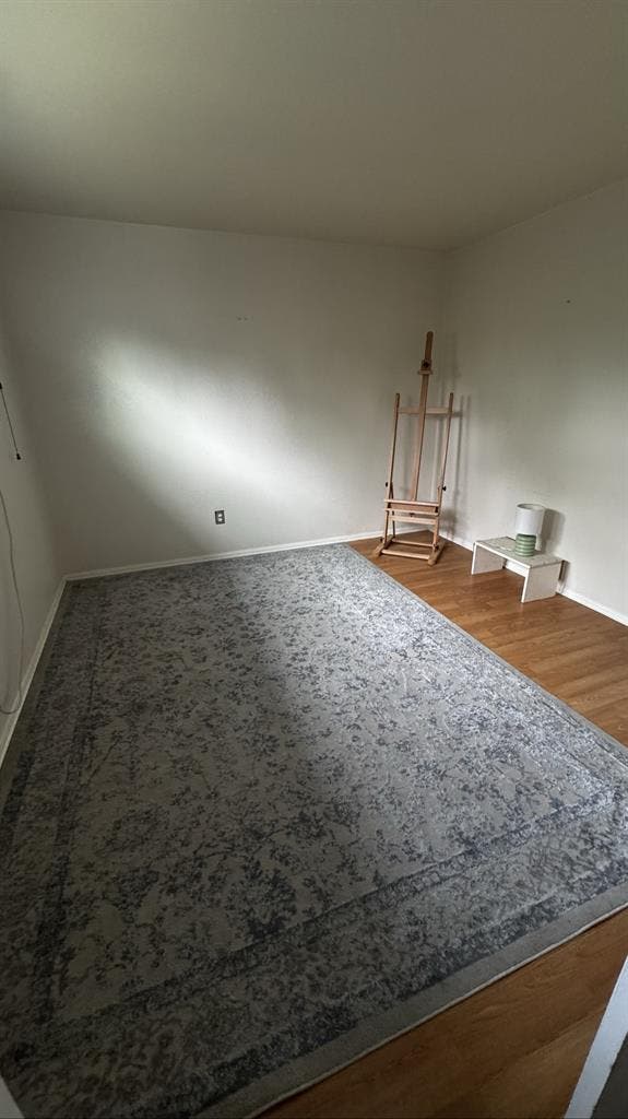 Focused Female Roommate Needed