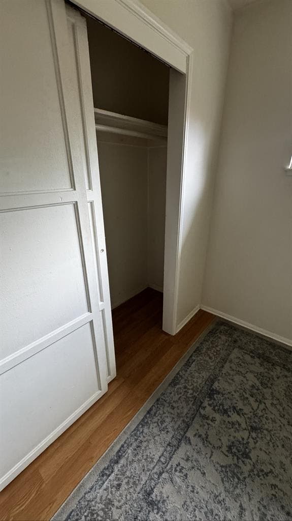 Focused Female Roommate Needed