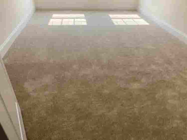 3 BR in Raleigh