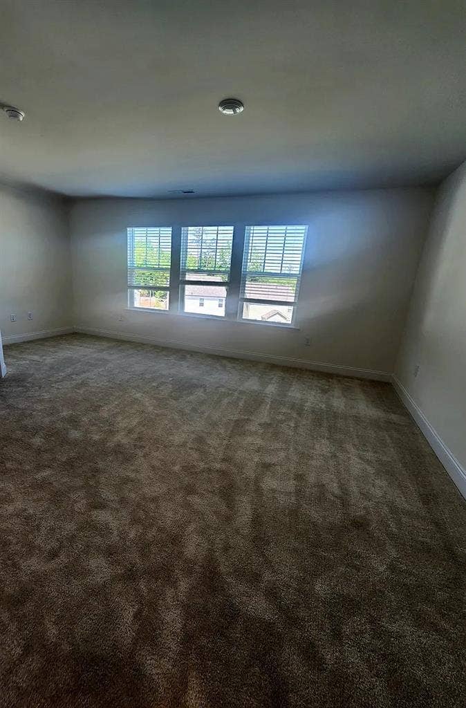 3 BR in Raleigh