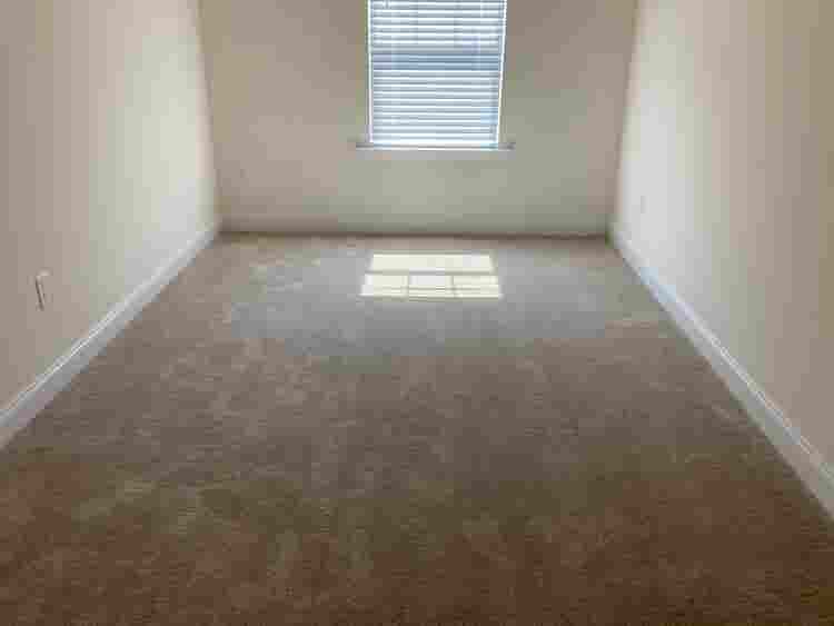 3 BR in Raleigh