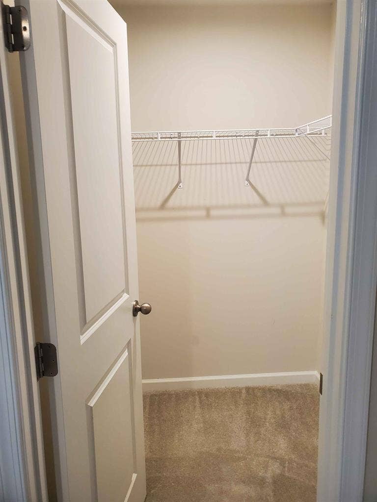 5 BR in Raleigh