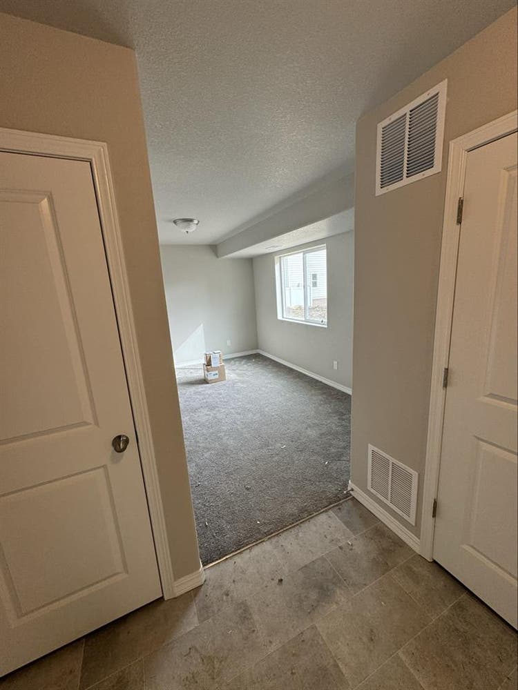 Looking for a roomie and bestie!