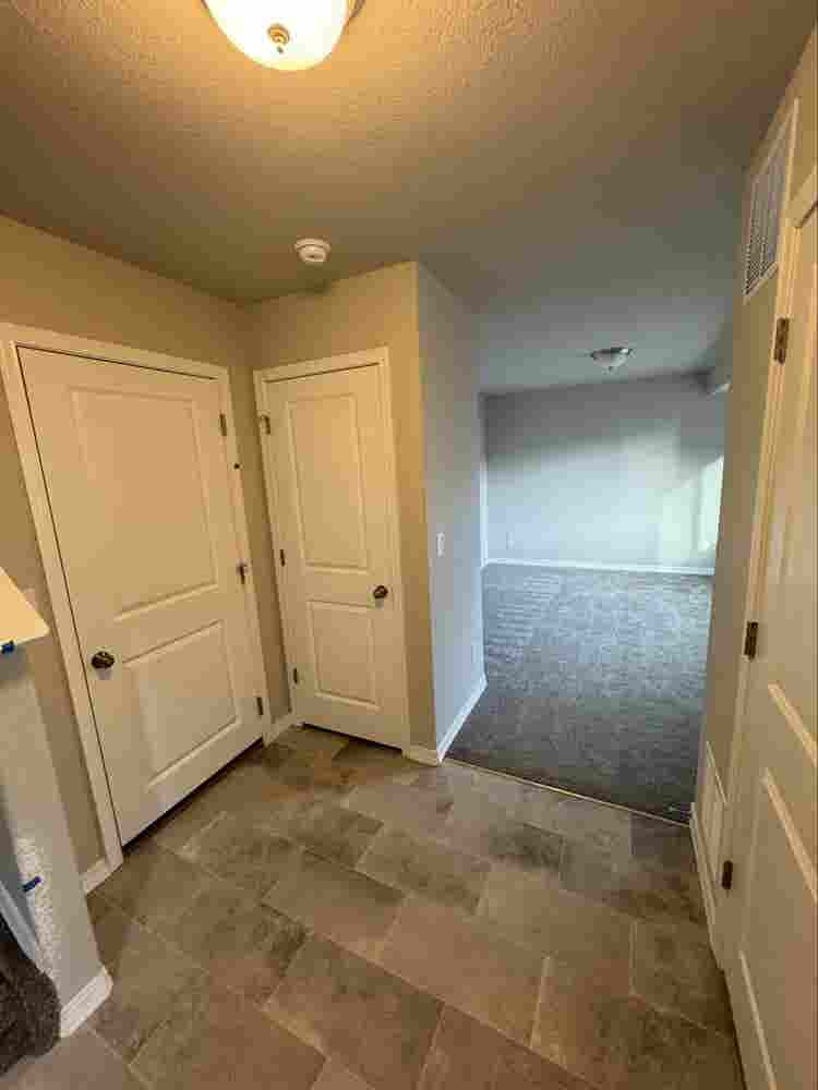 Looking for a roomie and bestie!