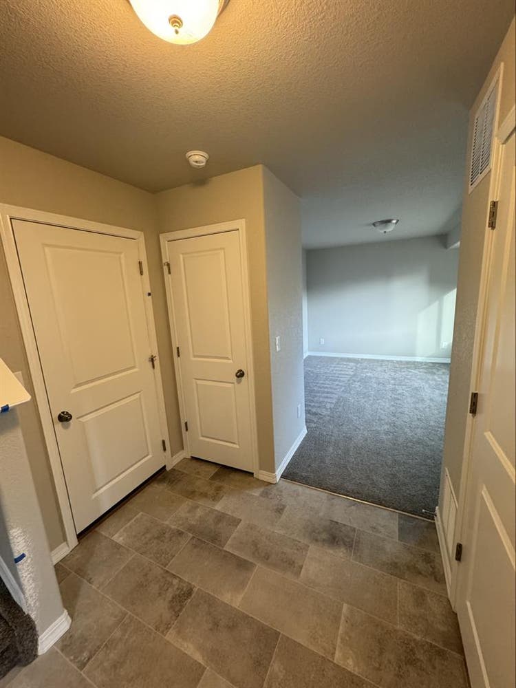 Looking for a roomie and bestie!