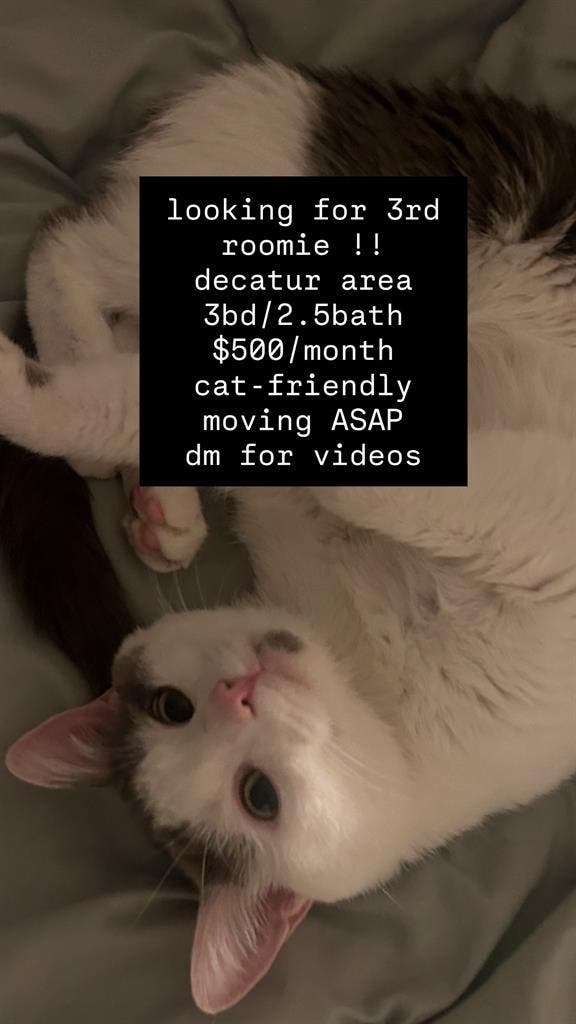 LOOKING FOR 3rd ROOMMATE - DECATUR