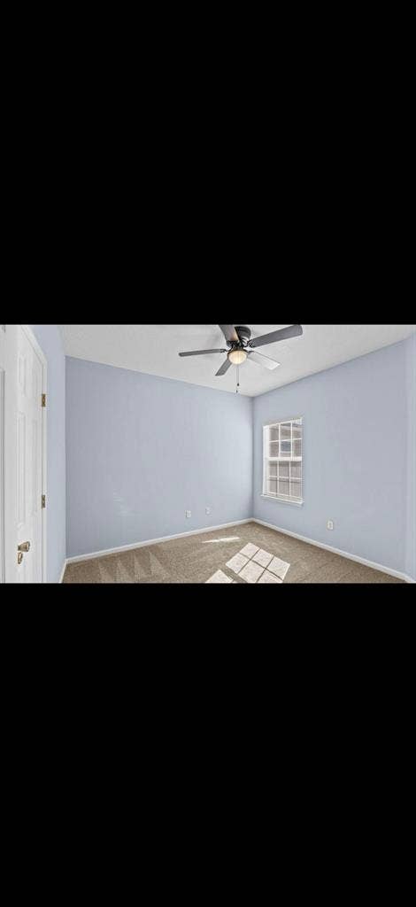 Near Kernan and McCormick