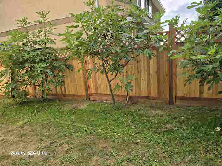 Ground level suit for rent