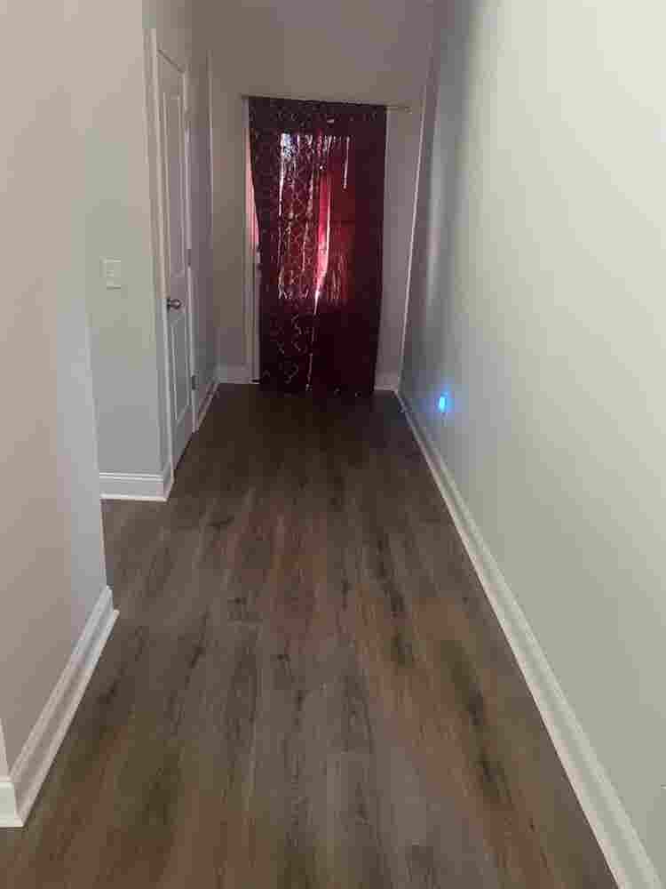 Roommate needed
