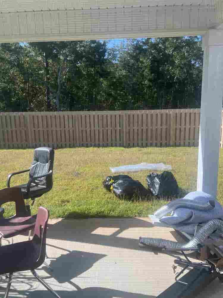 Roommate needed